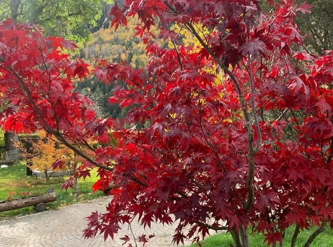 Apartment Hameau De Jadis